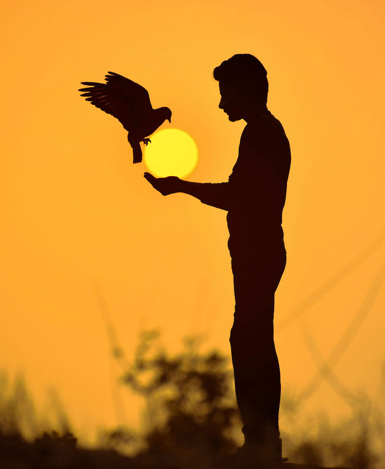 Sun Photos by Sulabh Lamba