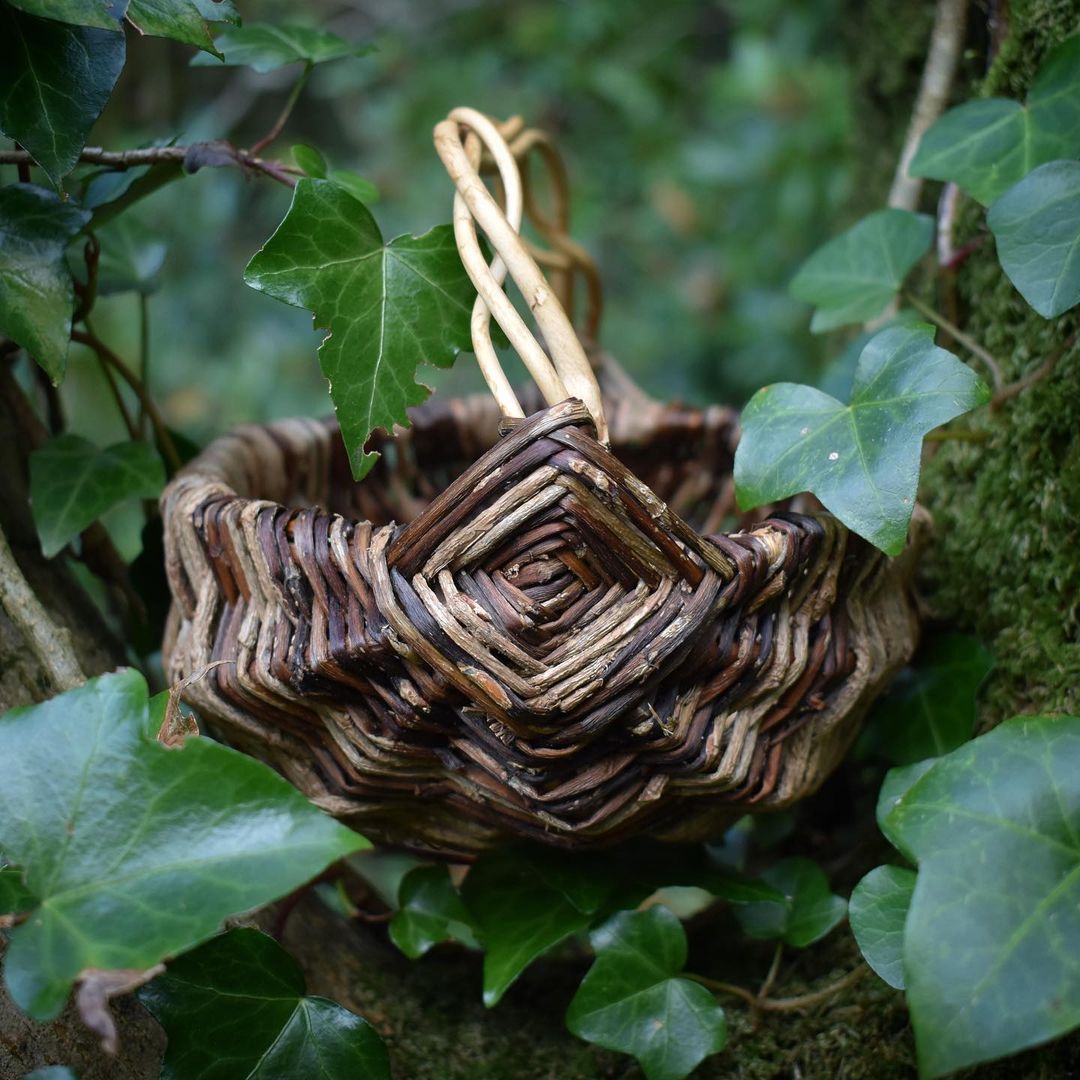 Woven Baskets by Foraged Fibers