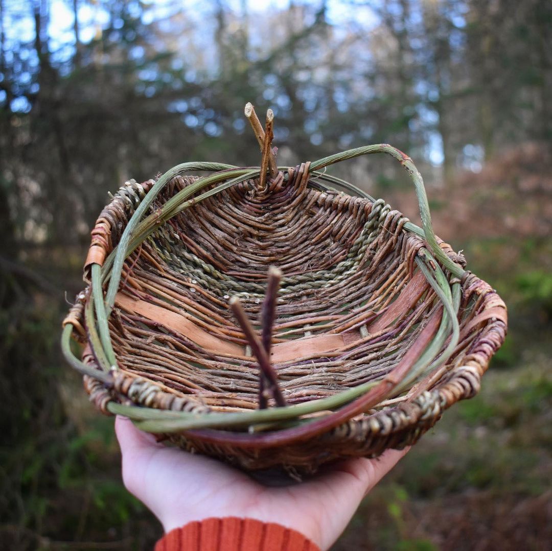 Woven Baskets by Foraged Fibers