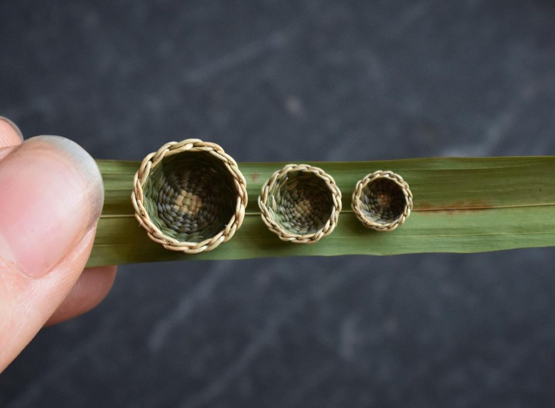 Woven Baskets by Foraged Fibers