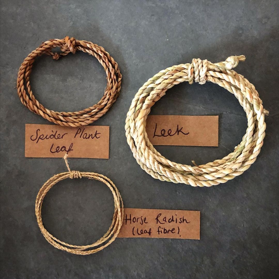 Woven Baskets by Foraged Fibers