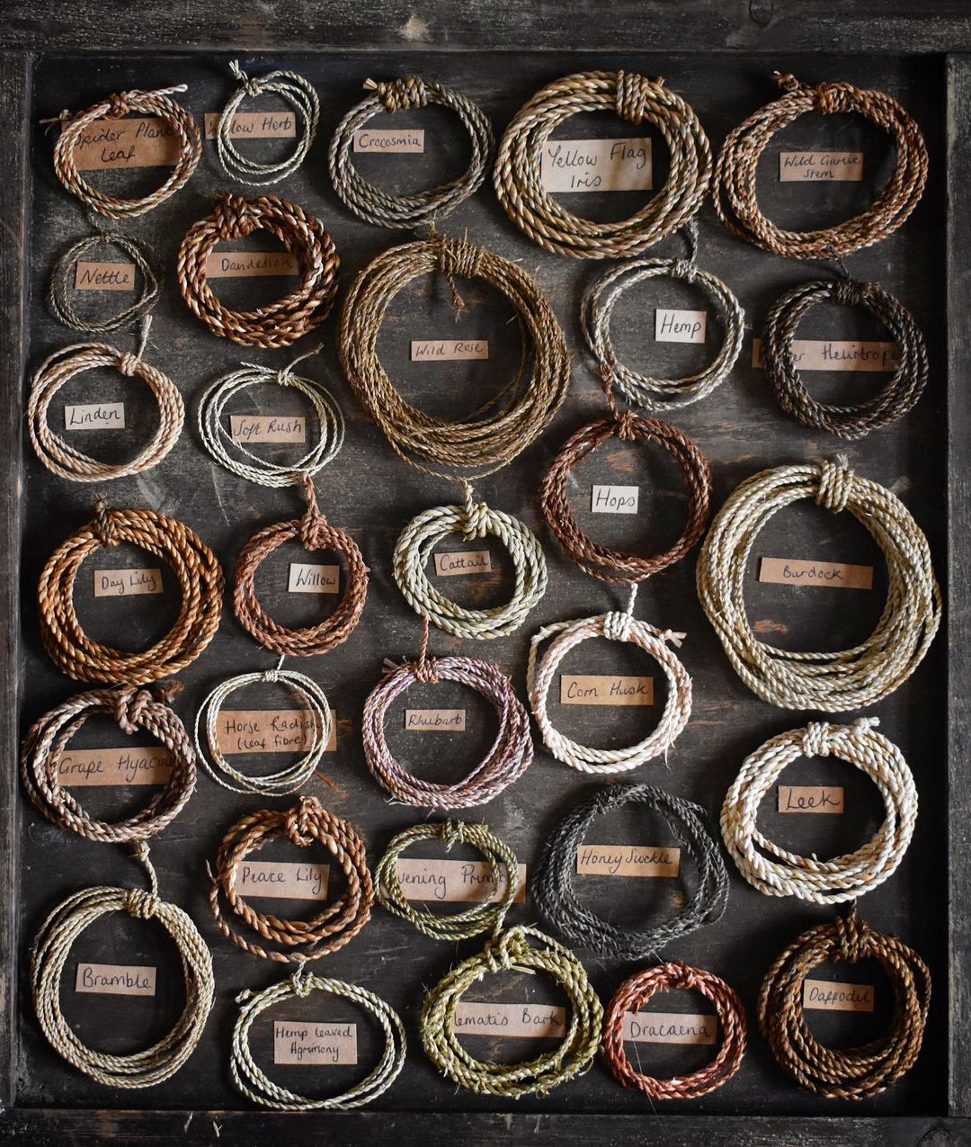 Woven Baskets by Foraged Fibers