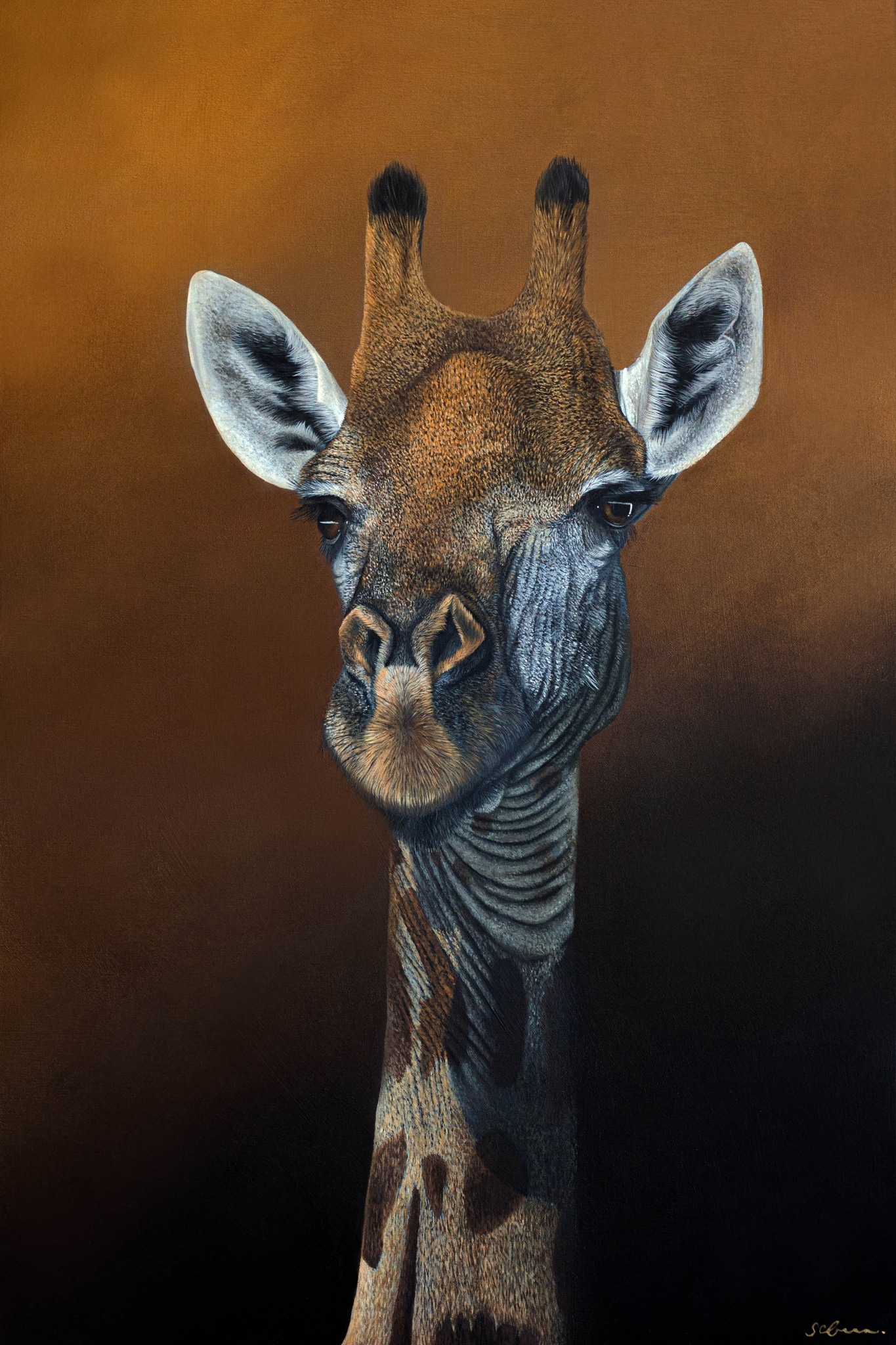 Animal Paintings by Sophie Green