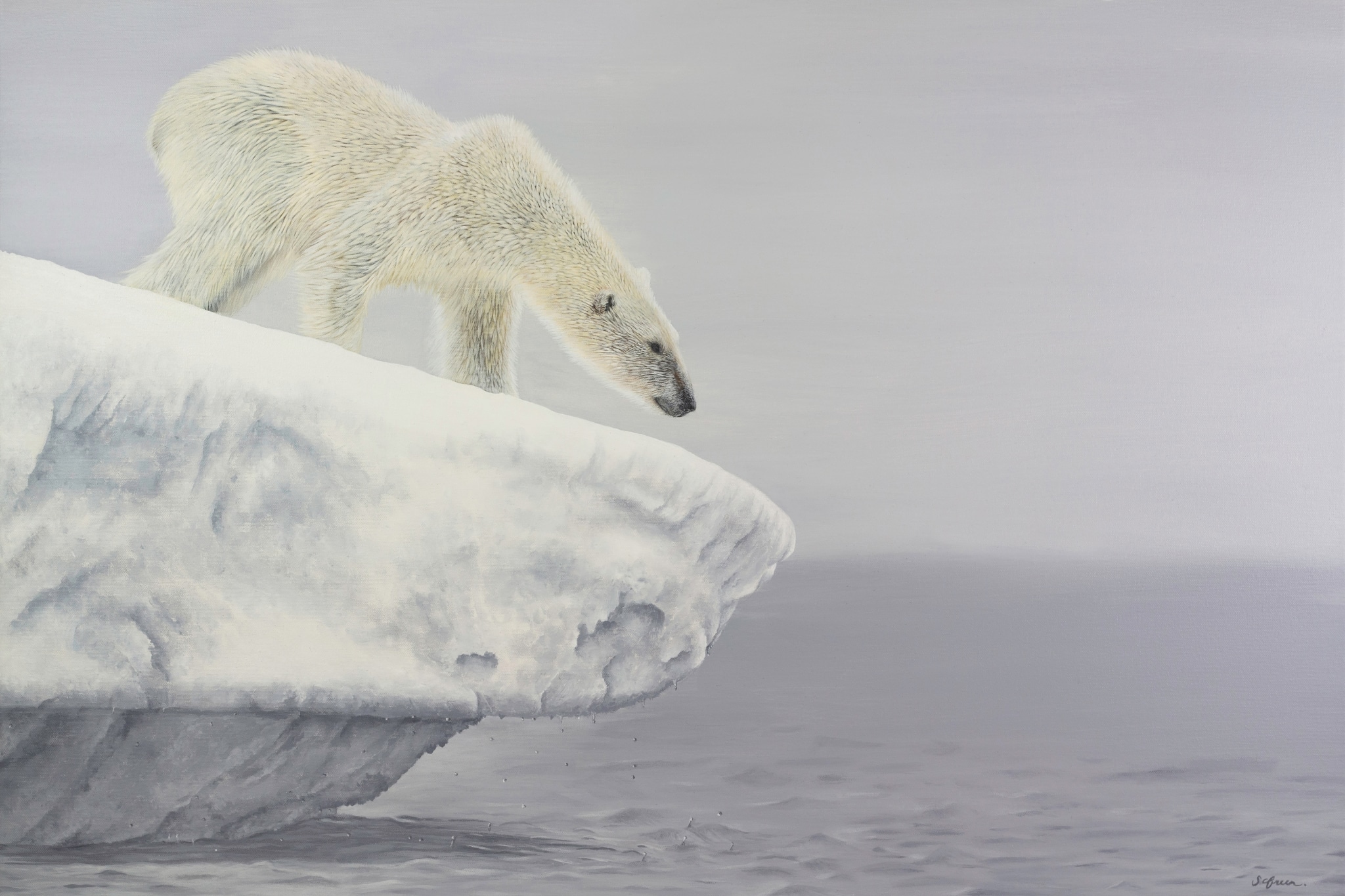 Animal Paintings by Sophie Green