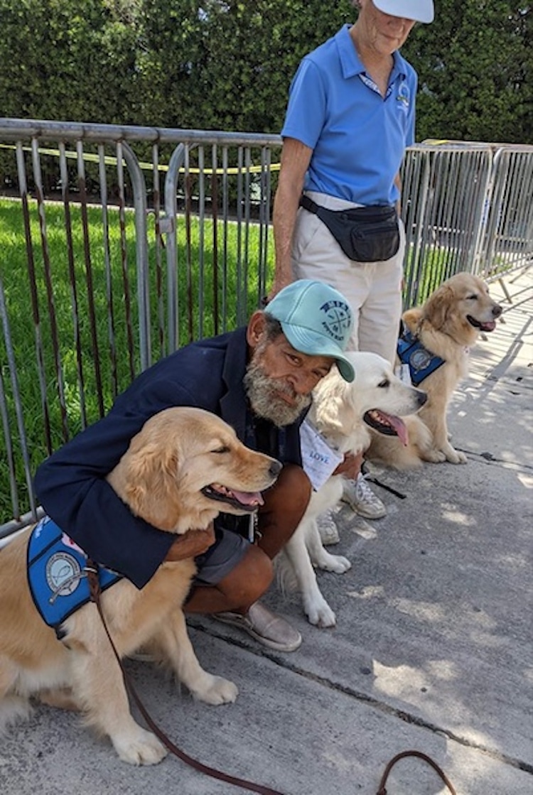 Person Petting a Golden Retriever