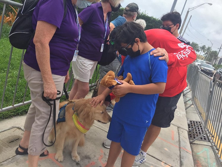 Person Petting a Golden Retriever