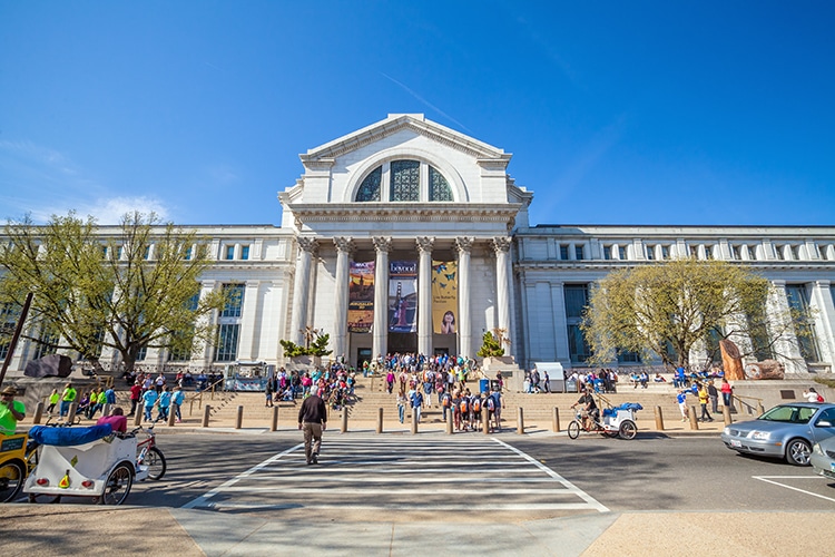 Smithsonian Museum of Natural History in Washington, DC