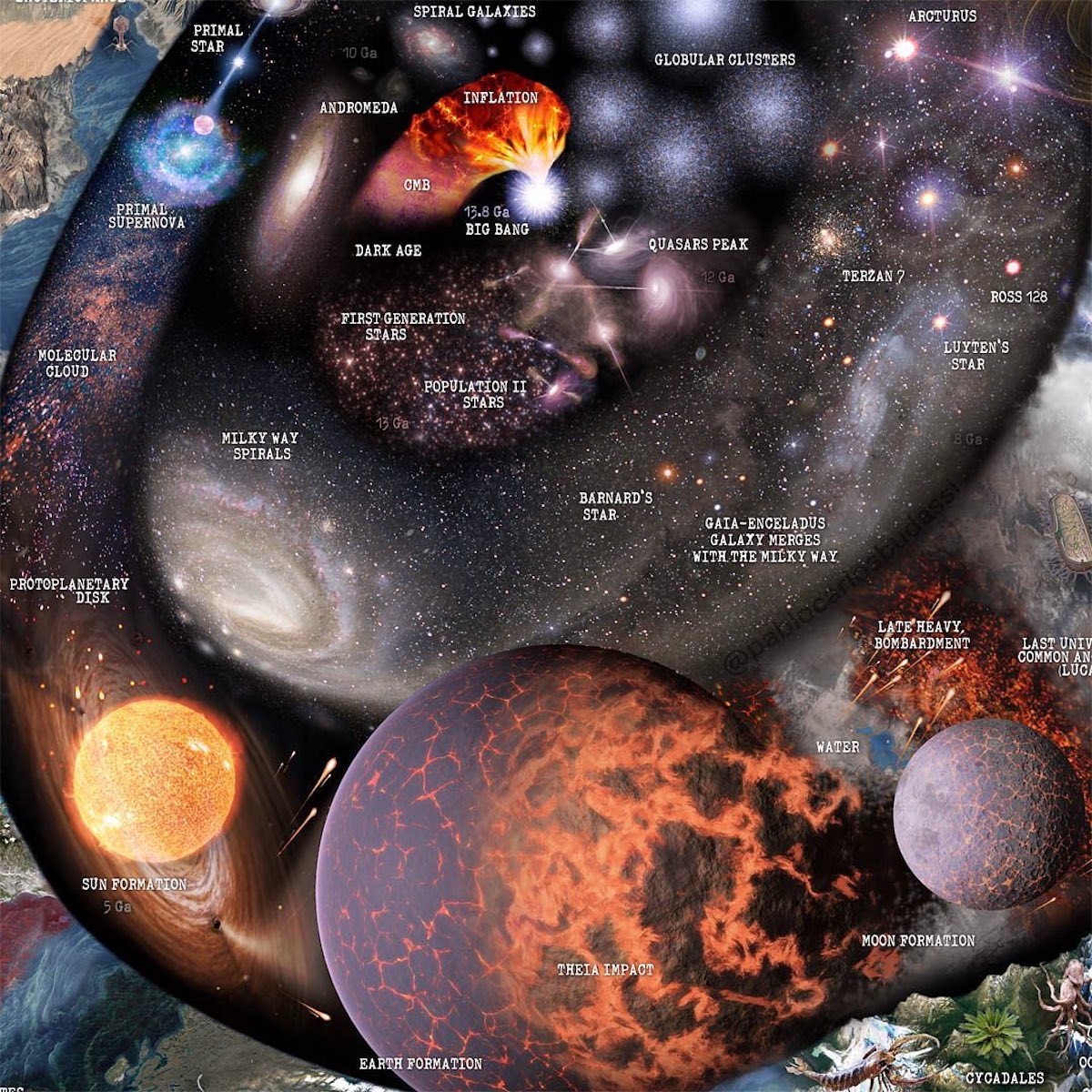 - ViralBandit Detail of an Infographic