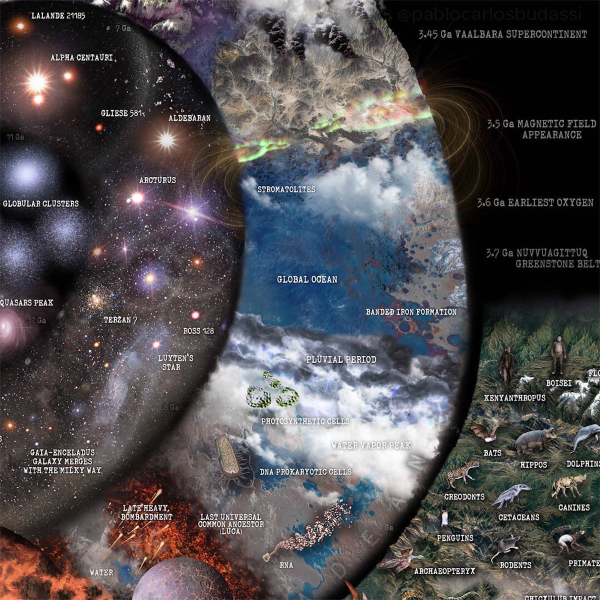 - ViralBandit Nature and Science Infographic