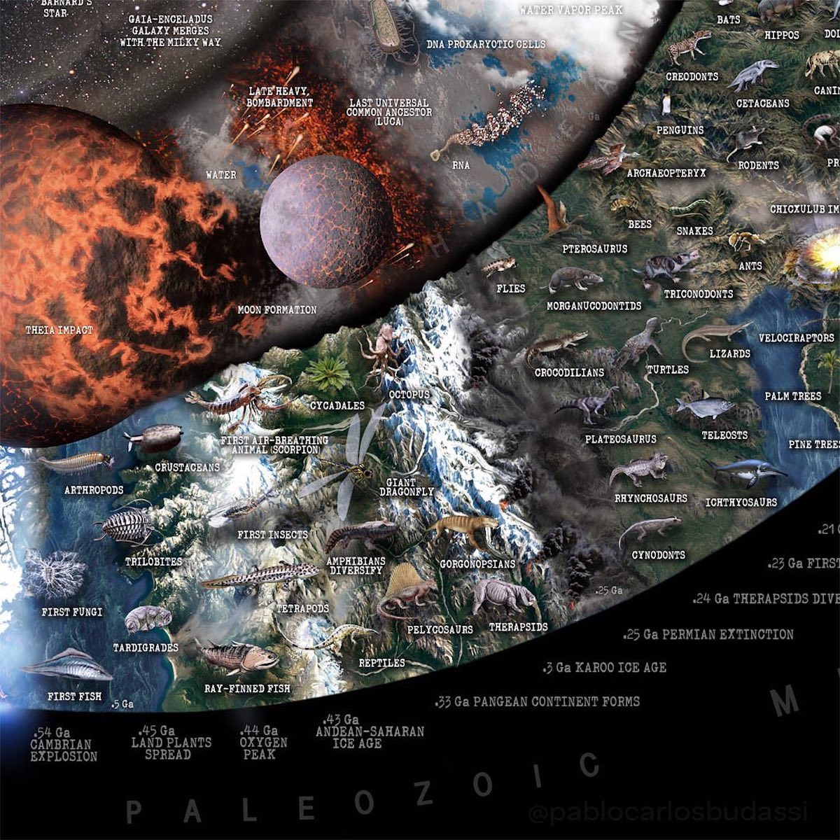 - ViralBandit Science Infographic