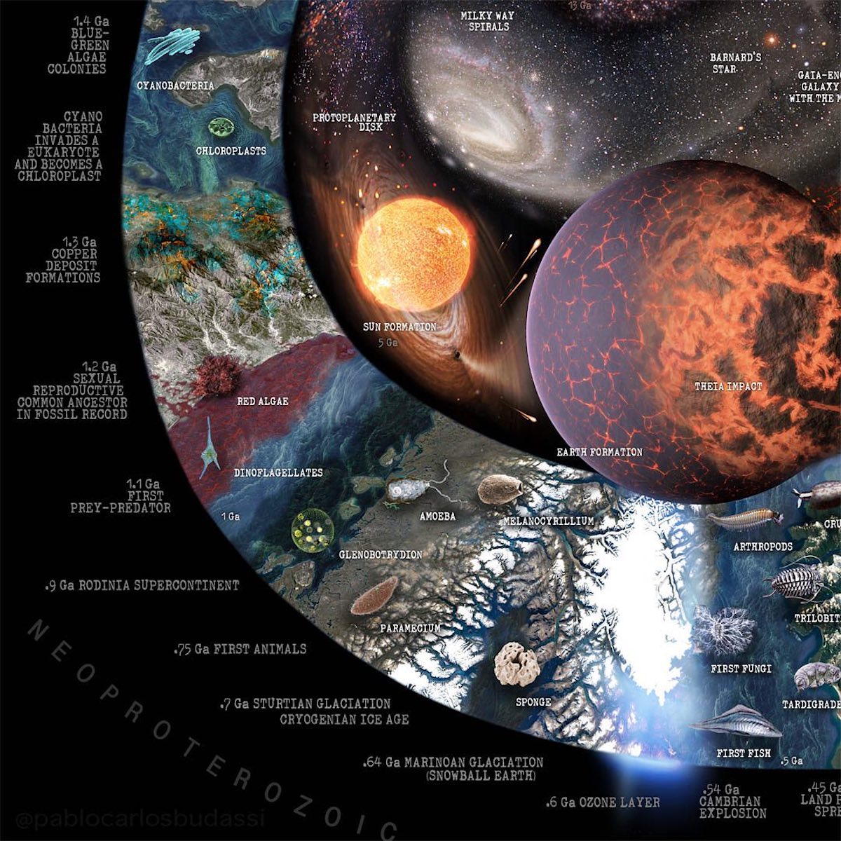 - ViralBandit Science Infographic