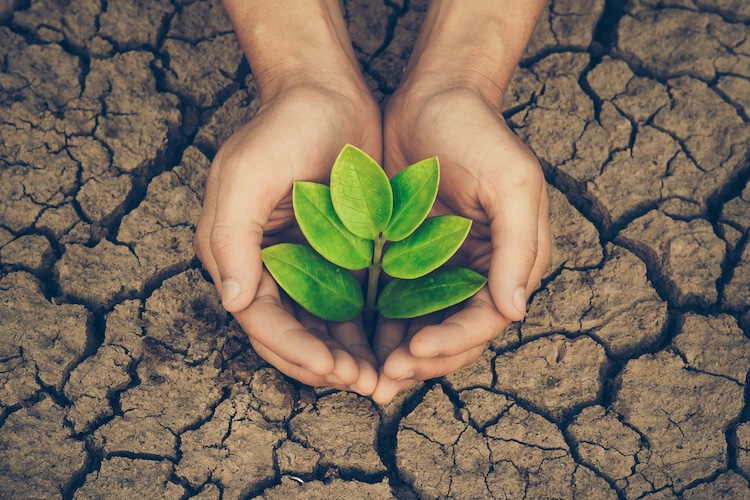 Eco Friendly Habits to Save the Planet