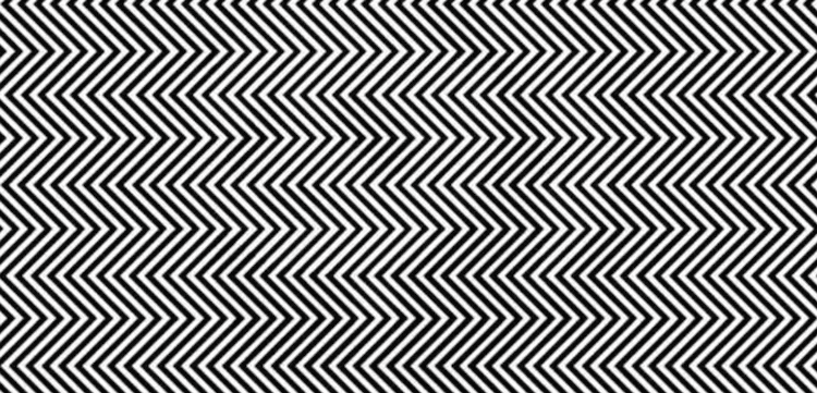 Optical Illusion Panda by Ilja Klemencov
