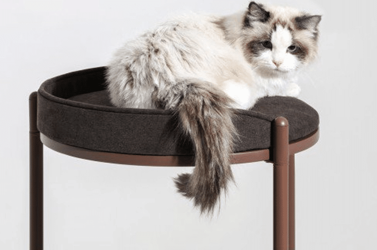 Watch Tower Cat Tower by Ziel Home Furnishing