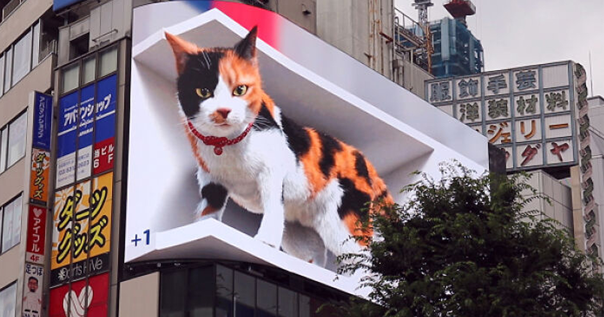 cat-billboard-tokyo-thumbnail-.jpg - ViralBandit