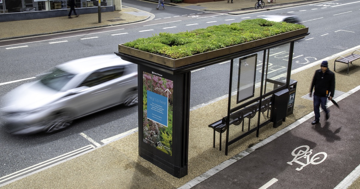 leicester-green-roof-bee-bus-stops-fb.jpg - ViralBandit