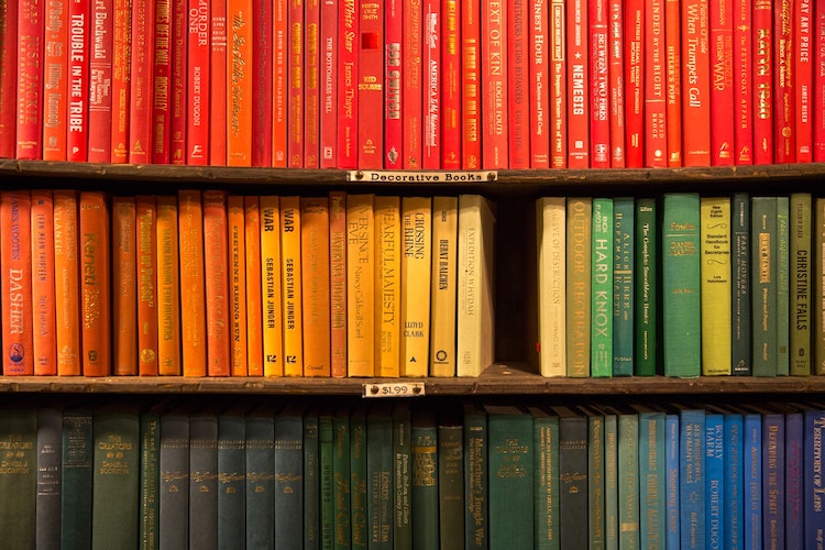 Bookshelf Inspiration