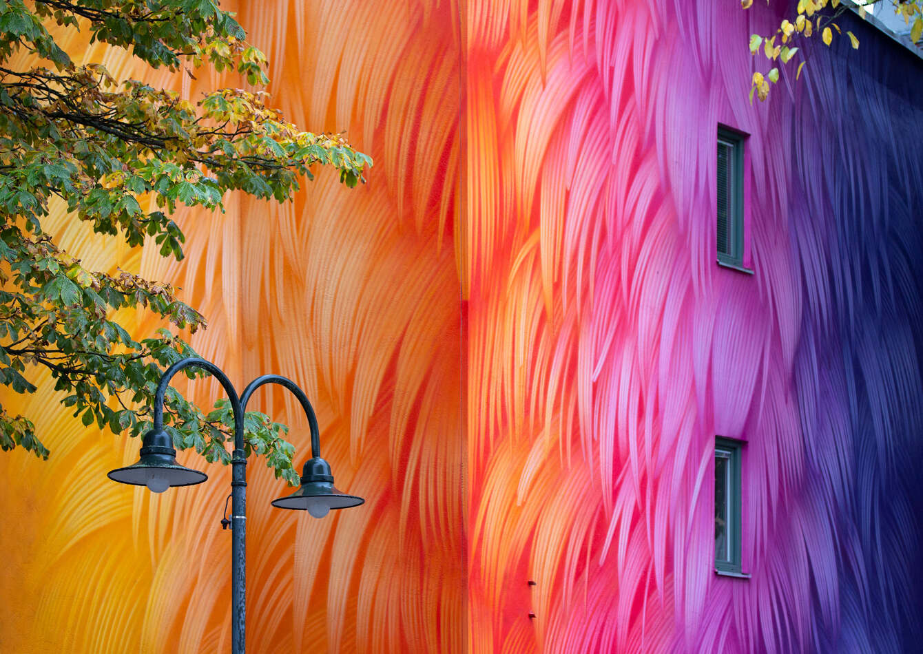 Pigeon Feather Murals by Adele Renault