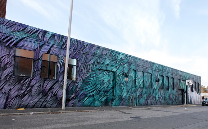 Pigeon Feather Mural by Adele Renault