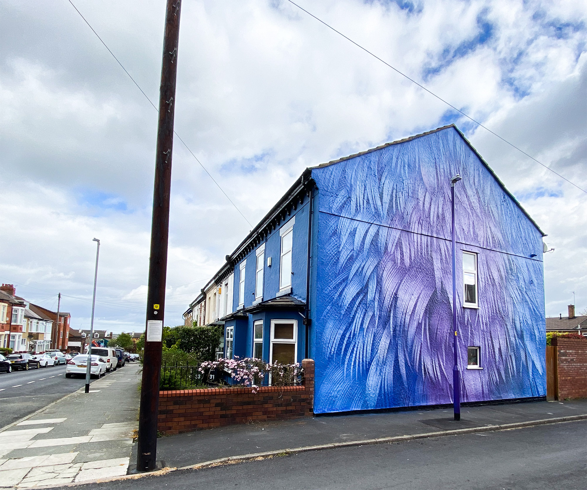 Pigeon Feather Mural by Adele Renault