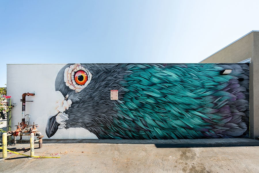 Pigeon Feather Mural by Adele Renault