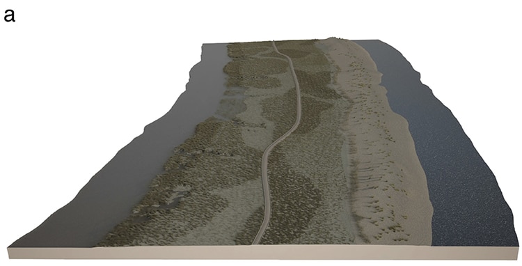 The Ancient Roman Road