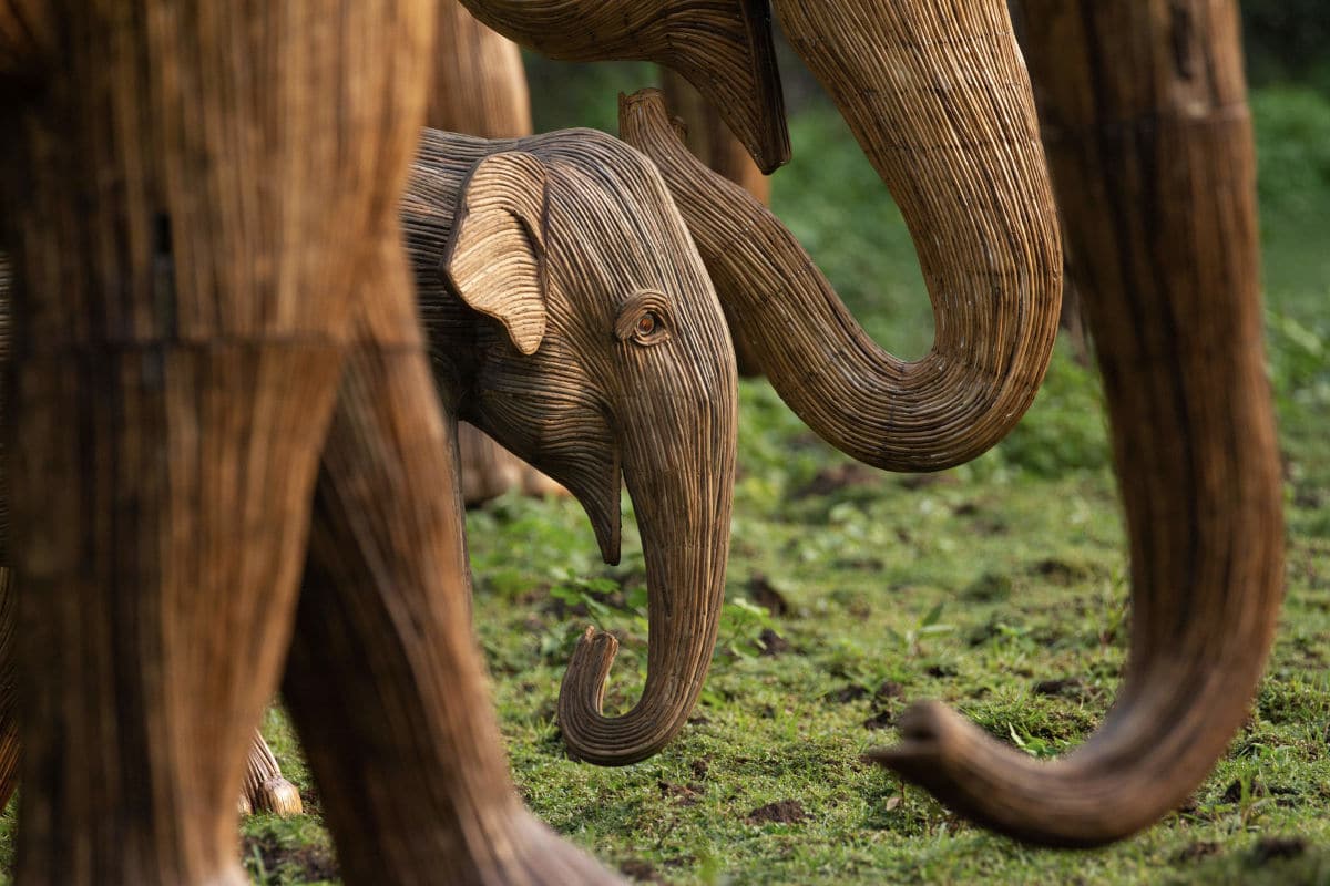 Coexistence Elephant Art Exhibit