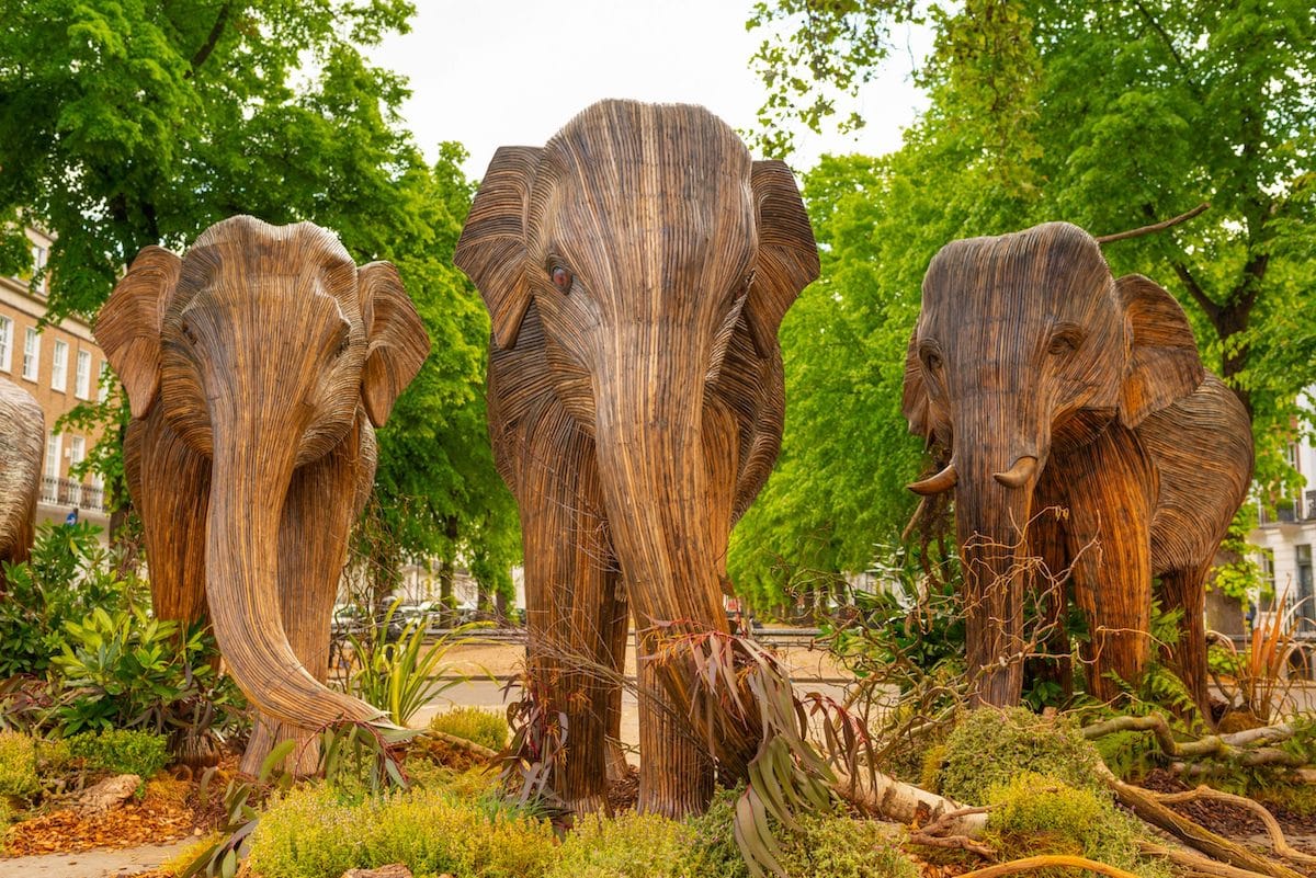 Coexistence Elephant Art Exhibit