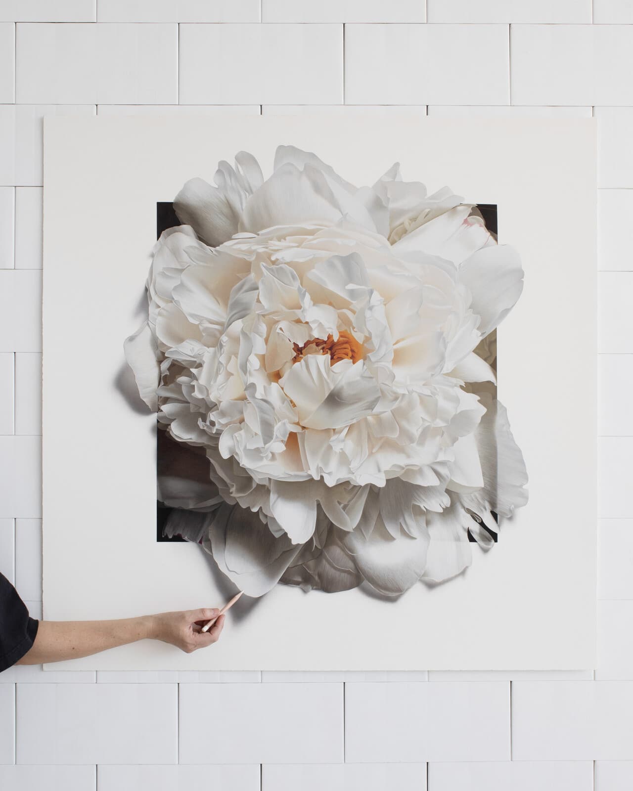Floral Colored Pencil Drawings by CJ Hendry