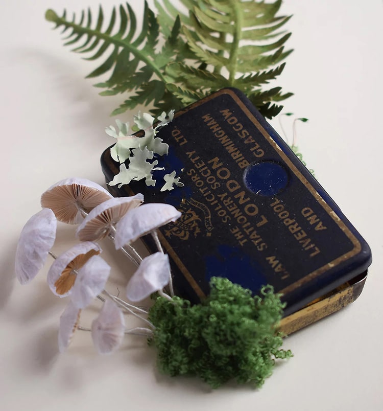 Paper Insects and Plant Life