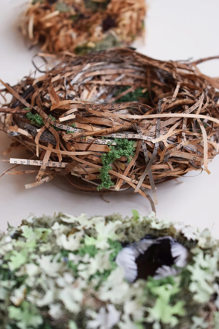 Paper Bird's Nest