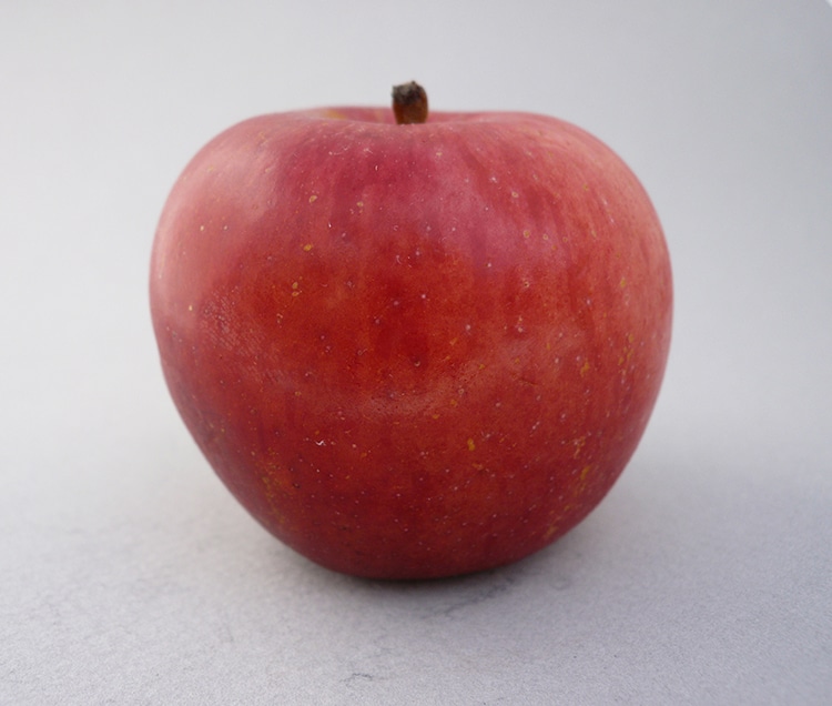 The Black beauty Apple