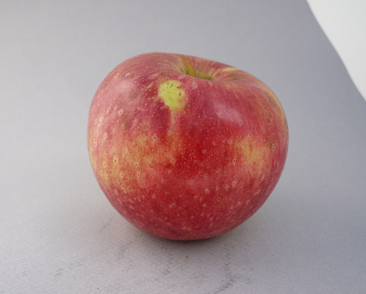 Red Horse Apple
