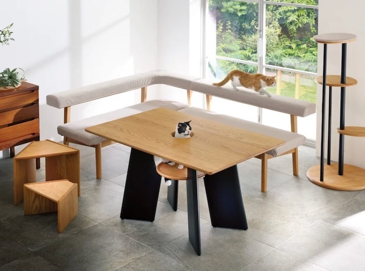 Cat Table by Dinos