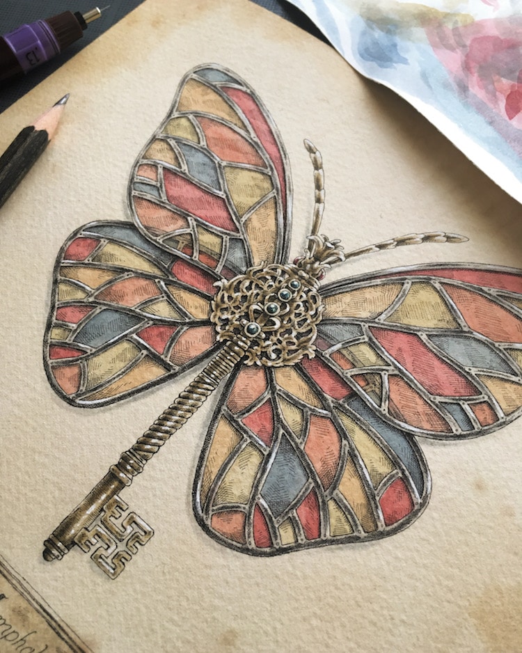 Nymphalidae Drawings by Steeven Salvat