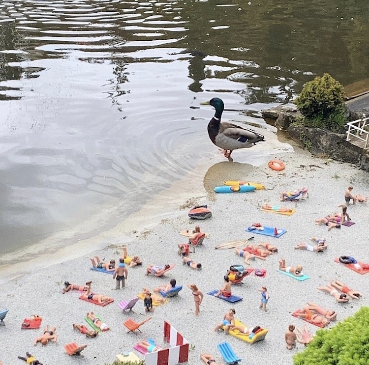 Babbacombe Model Village With Animals