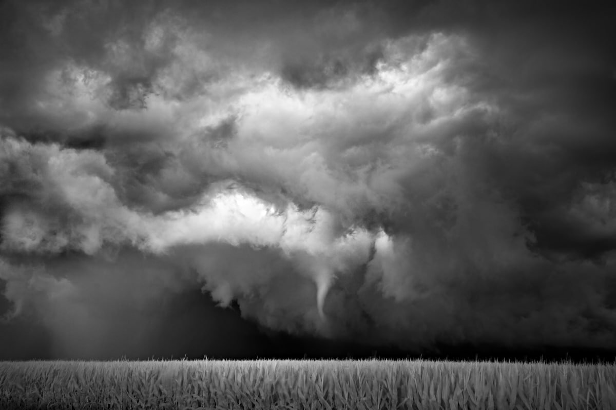 Funnel Tornado Over a Cornfield