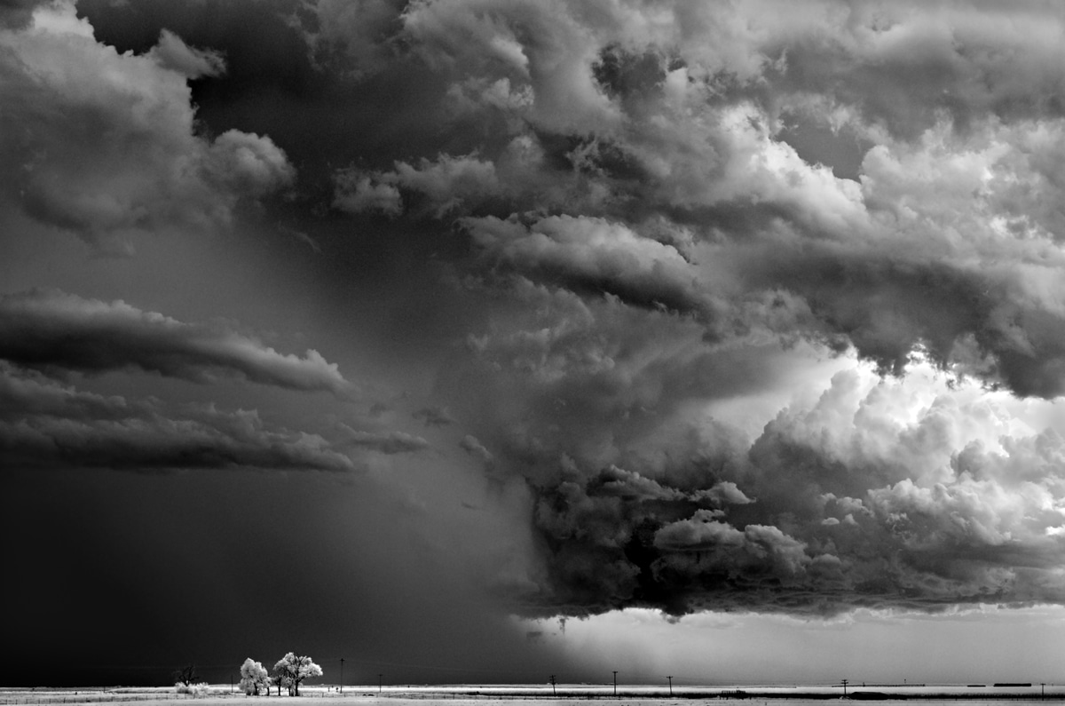 Tree Clouds by Mitch Dobrowner