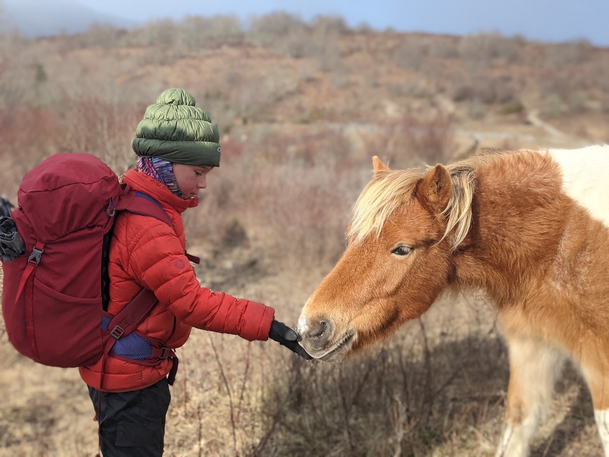 Sutton Family on the Appalachian Trail
