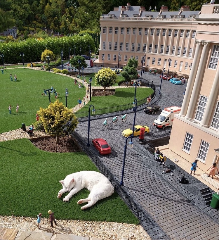 Babbacombe Model Village With Animals