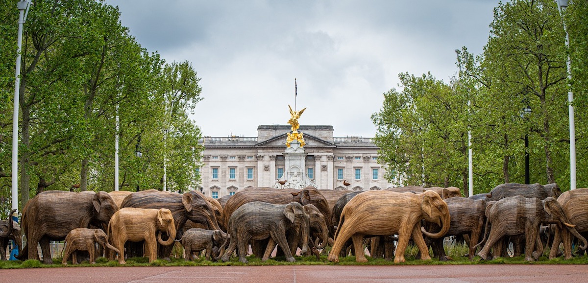 Coexistence Elephant Art Exhibit