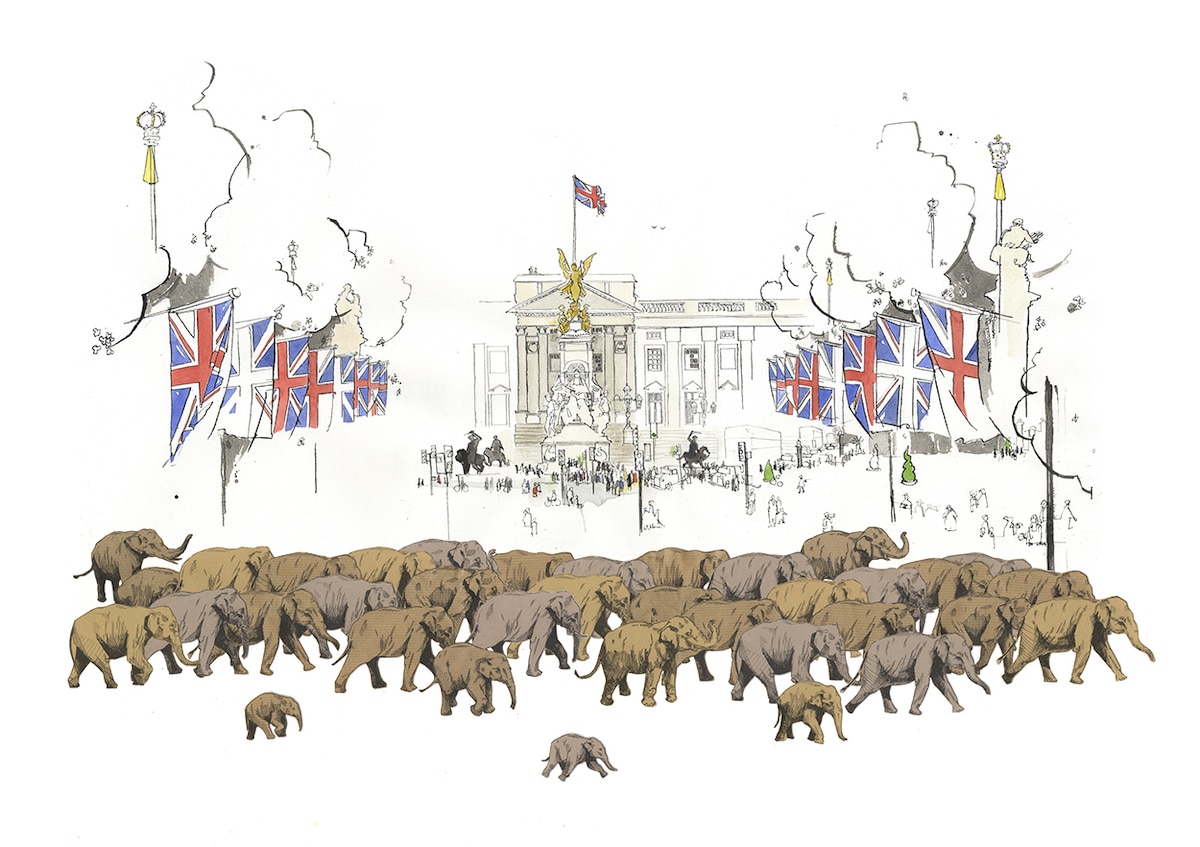 Elephant Drawings by George Butler