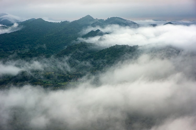 Reforestation Increases Cloud Cover, Which Cools the Planet's Climate