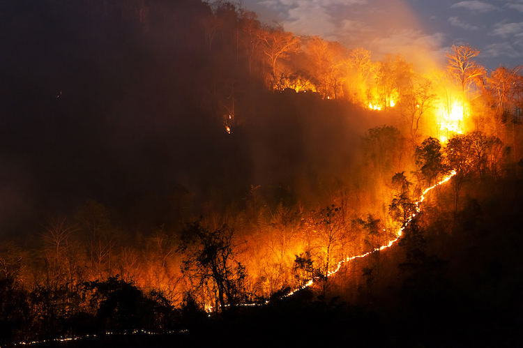 Wildfires Prompted by Climate Change