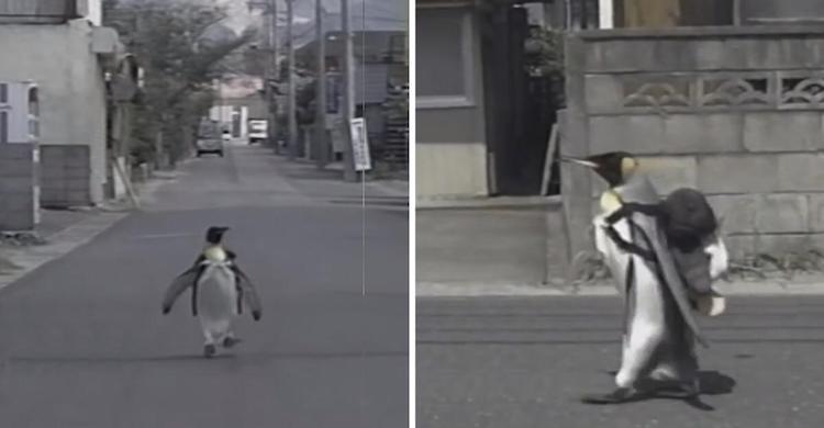 LaLa the Penguin on the Streets of Japan