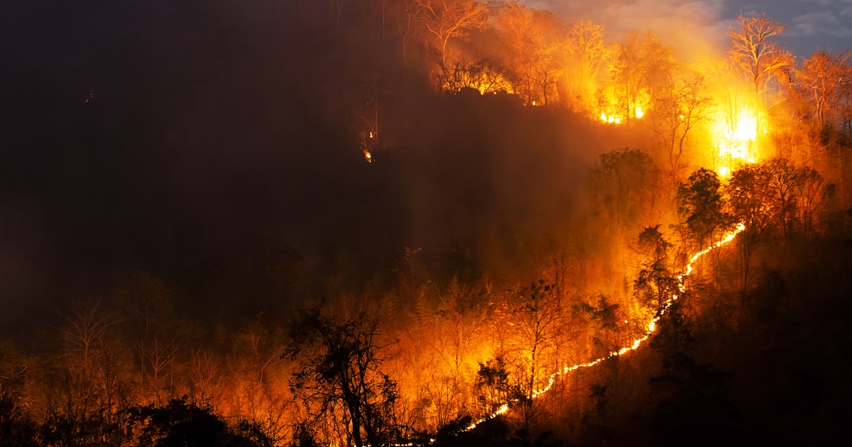 un-climate-change-report-thumbnail.jpg - ViralBandit