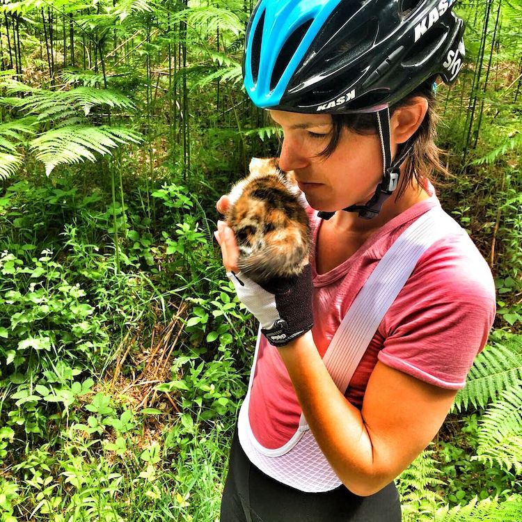 Kitten Found Alone in Forest Adopted by Cyclists