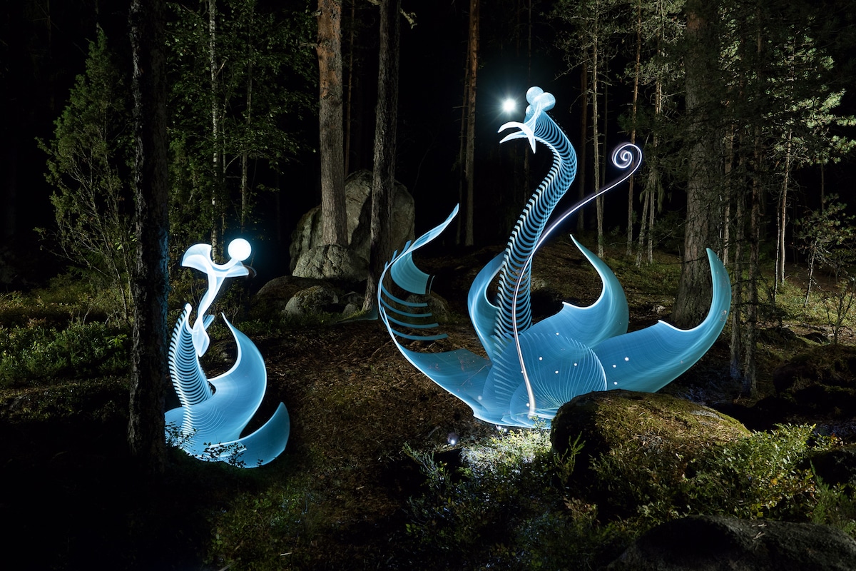 Light Painting of Swans in the Forest by Hannu Huhtamo