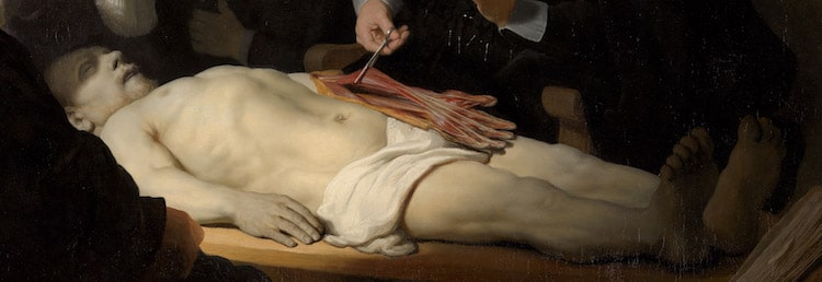 Anatomy Lesson Painting by Rembrandt