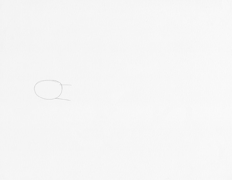 How to Draw a Turtle